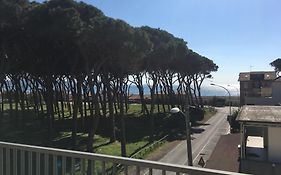 Pepe Nero Relax